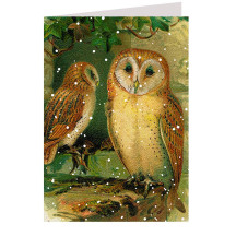 Snowy Barn Owls Card ~ England